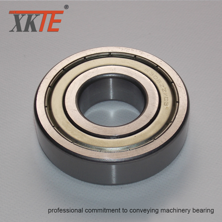 Iron Seals Ball Bearing 6306 ZZ C3