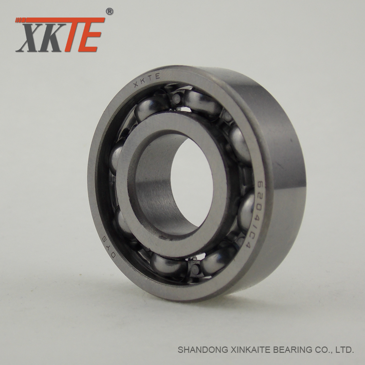 6204 C4 Deep Groove Ball Bearing