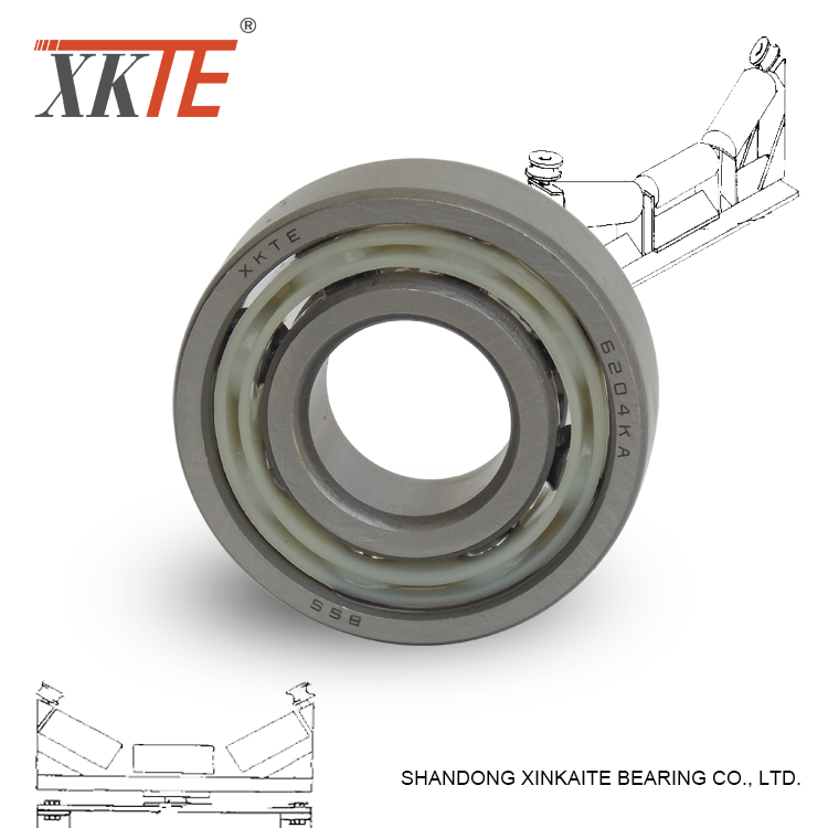 Rubber Sealed Nylon Cage Ball Bearing 6204