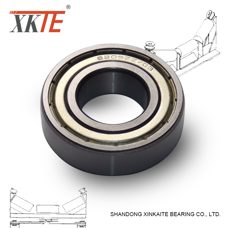 Iron Shielded Radial Ball Bearing 80204 C3 C4